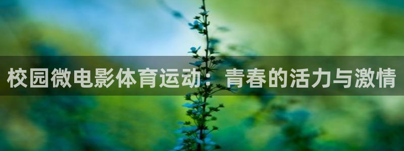 bsport必一运动