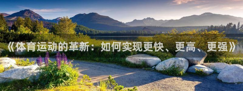 bsports必一运动