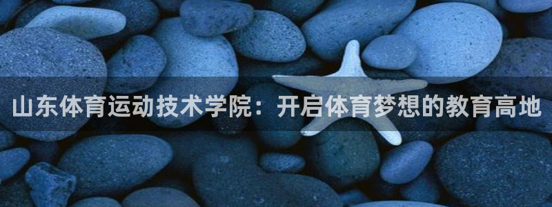 必一运动体育官网入口