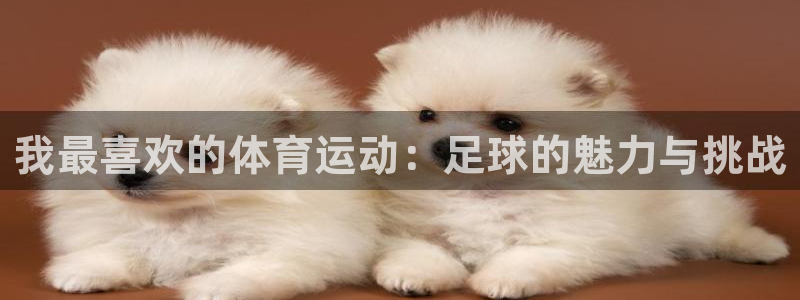 必一运动体育