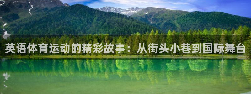 必一运动体育官网