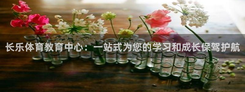 必一运动bsport体育