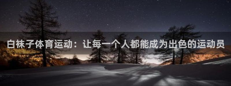 必一运动bsport体育