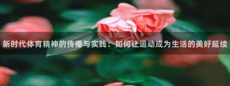bsports必一运动