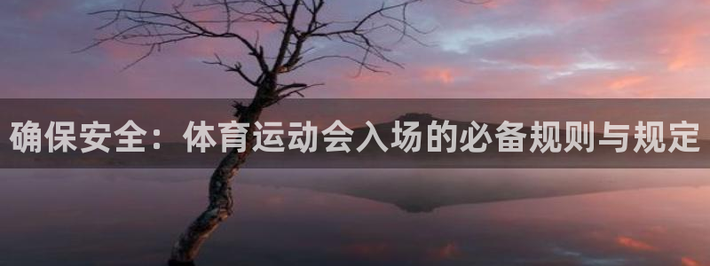 必一运动bsport体育