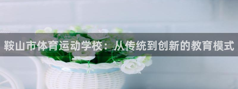 b体育必一运动官网
