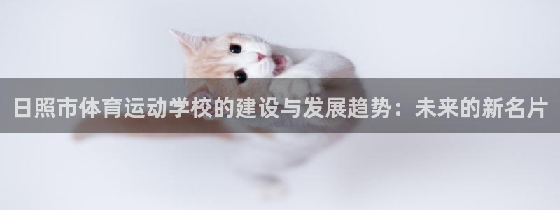 必一运动体育