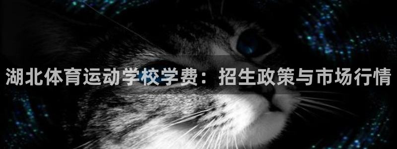 必一运动体育官网入口